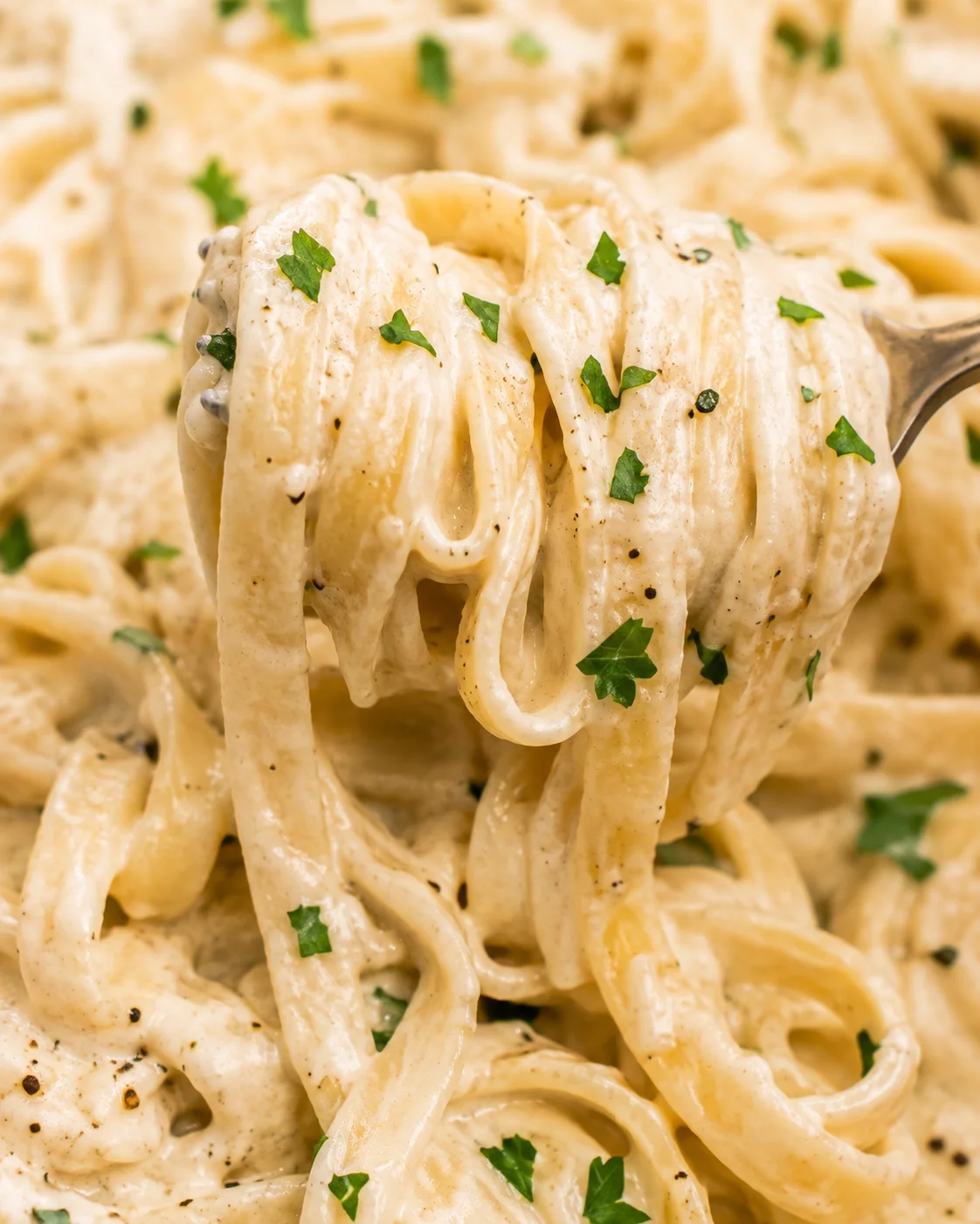 Fork lifting a twirl of cottage cheese Alfredo pasta showing thick sauce texture and parsley
