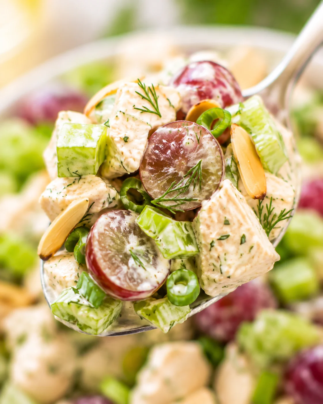Spoonful of Greek yogurt chicken salad showing grapes, celery, almonds, and creamy dressing