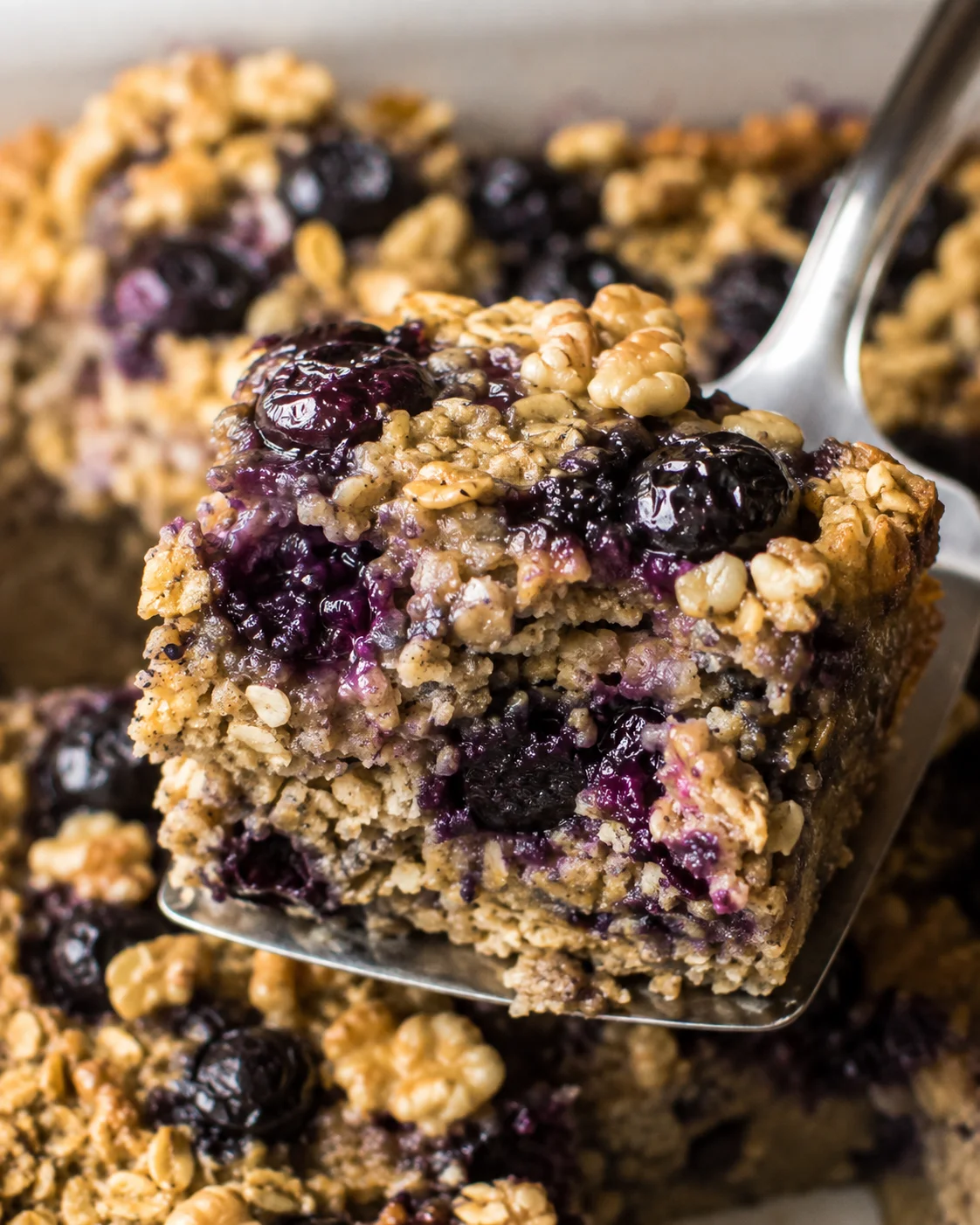 Delicious high protein baked oatmeal with blueberries and oats on a tray.