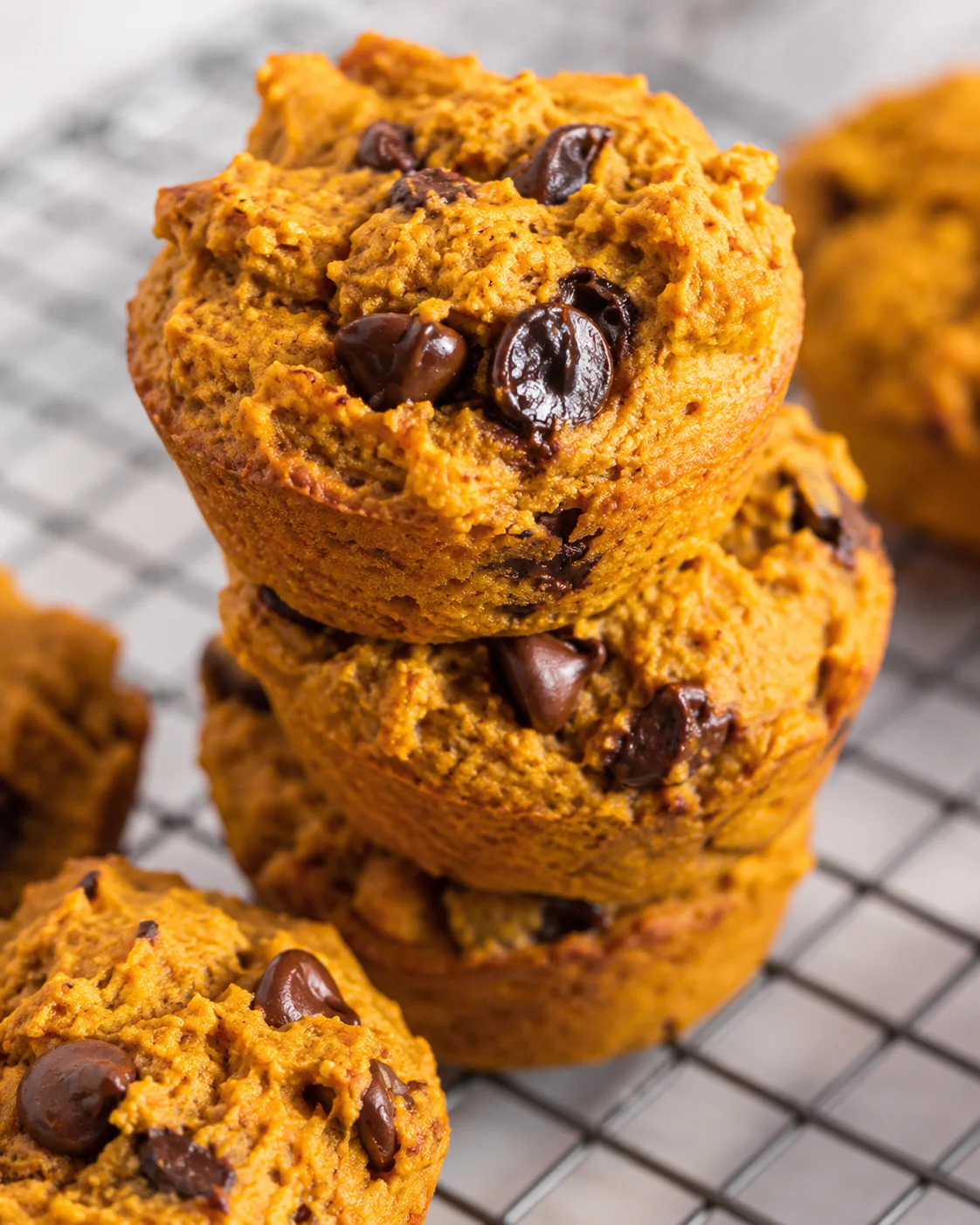 Stack of pumpkin-spice cookies with chocolate chips on a cooling rack
