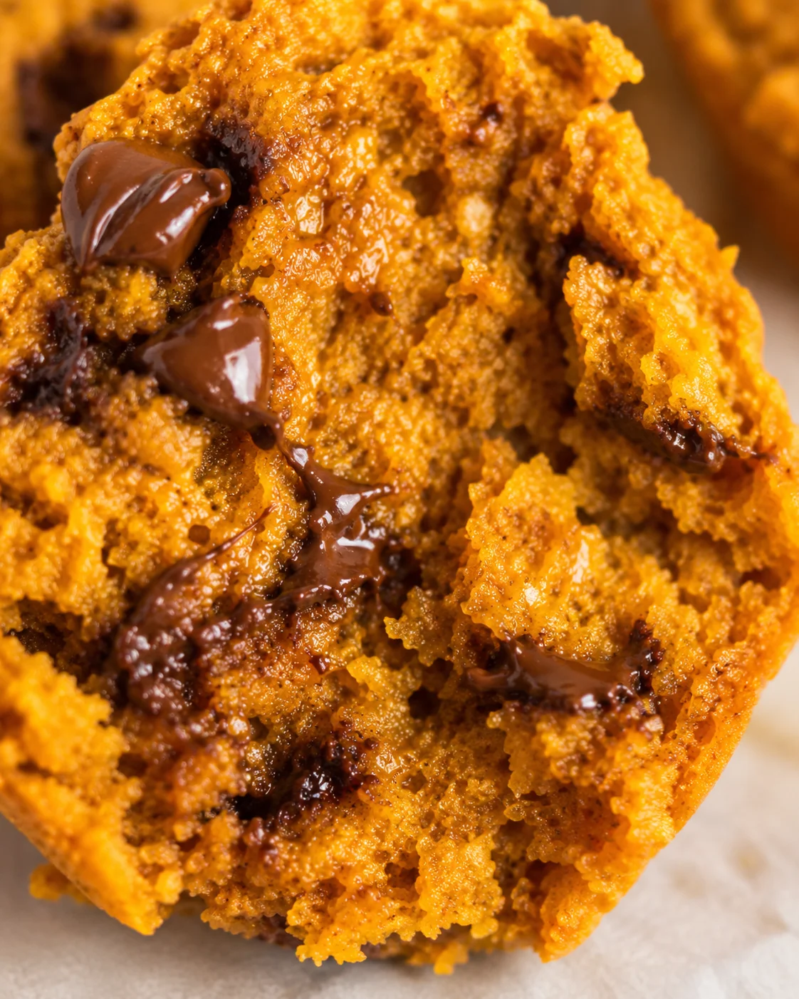 Close-up of a moist pumpkin muffin with melted chocolate chips inside.