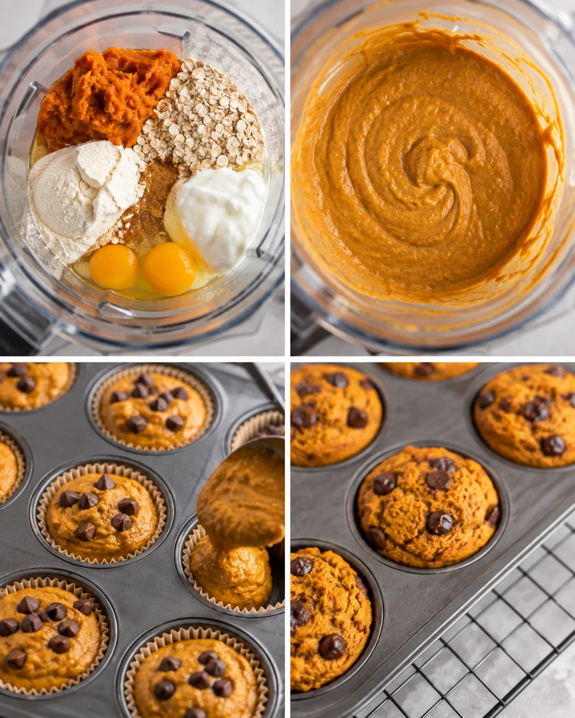 Baking process of pumpkin protein muffins with chocolate chips in a muffin tin