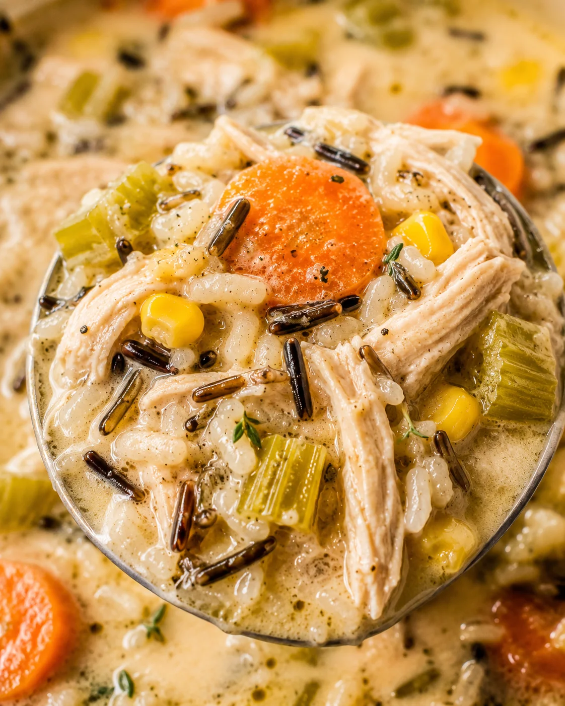 close-up of creamy chicken wild rice soup with celery, corn, and carrot in a ladle