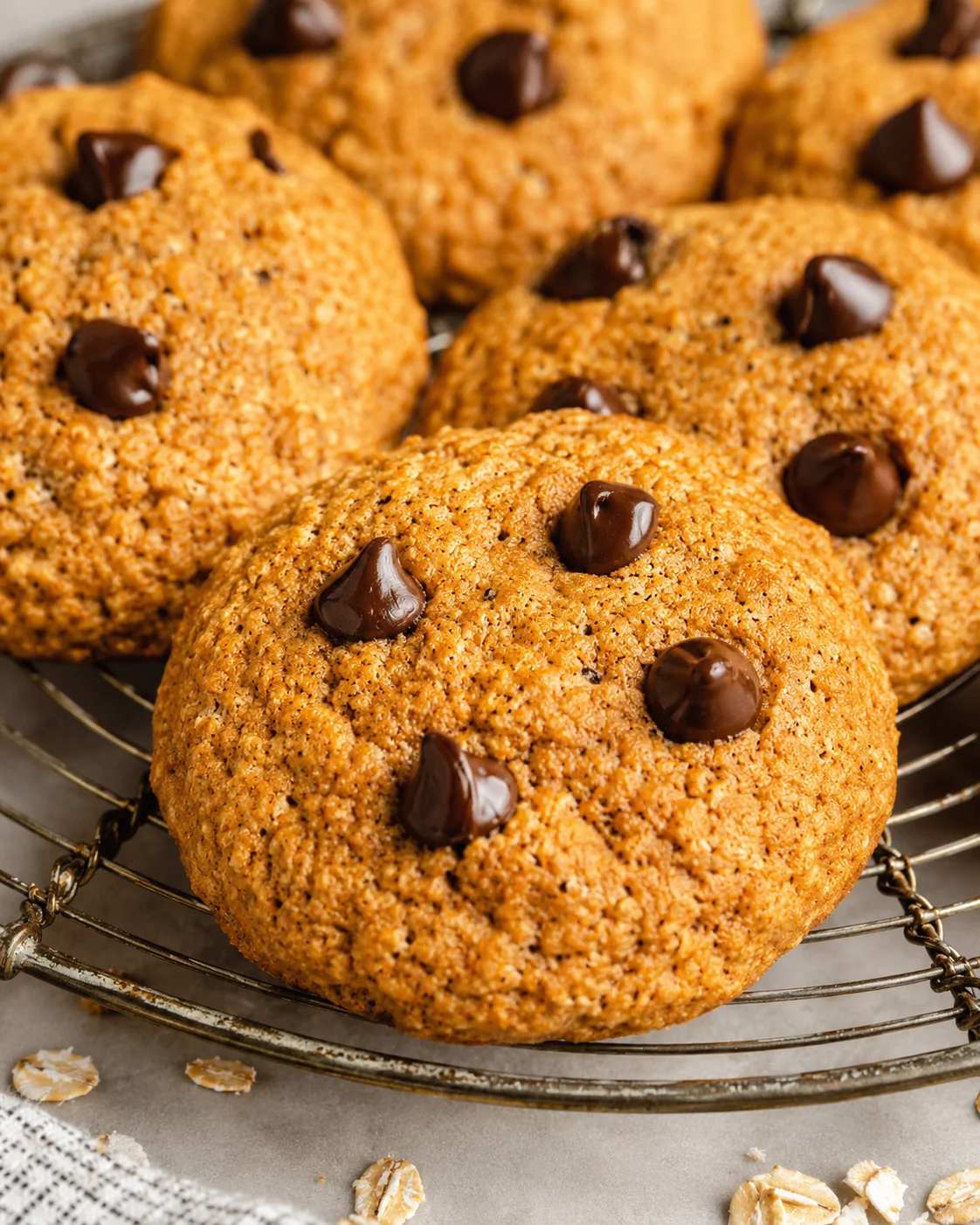 Close-up of golden-brown oatmeal chocolate chip cookies on a metal cooling rack.