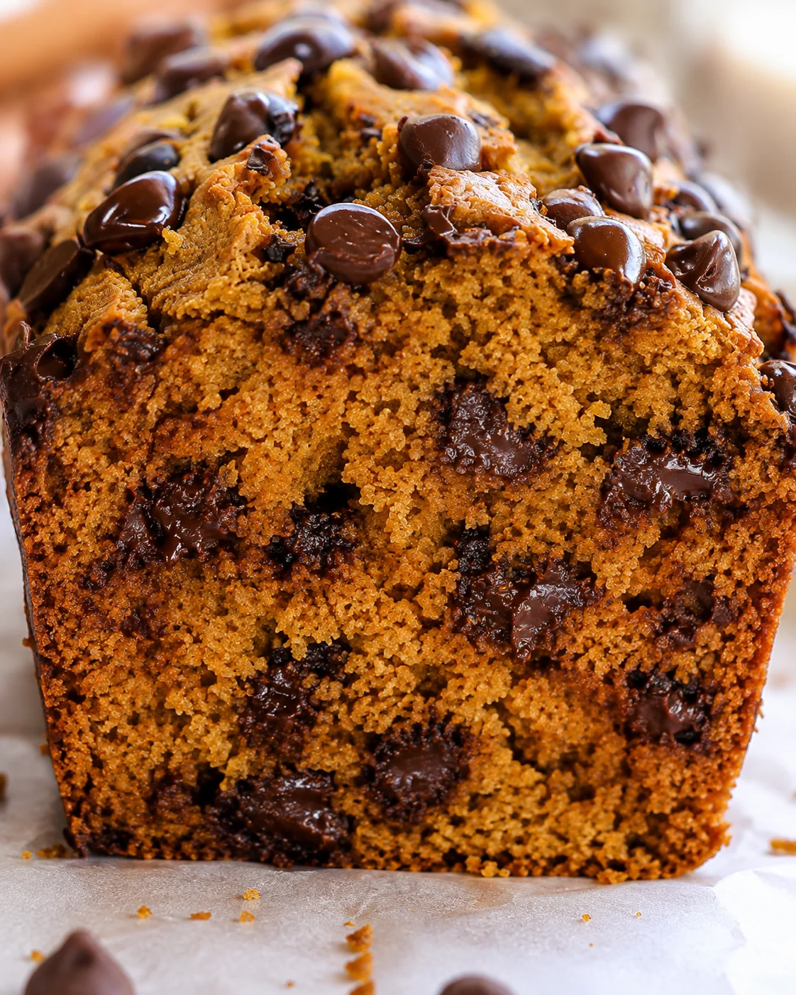 Close detail of pumpkin bread interior and chocolate chips