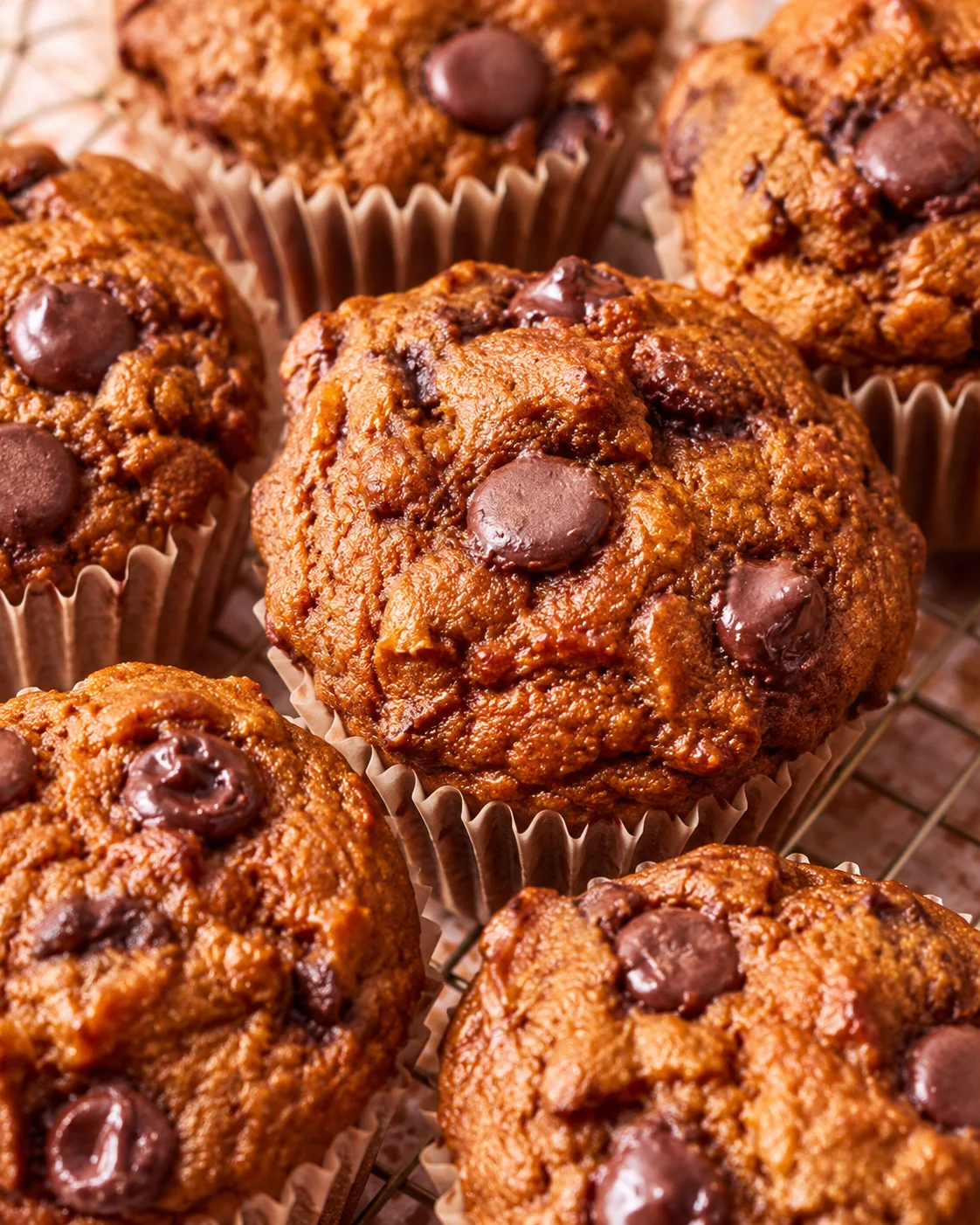 Close-up of baked pumpkin cottage cheese muffins topped with chocolate chips