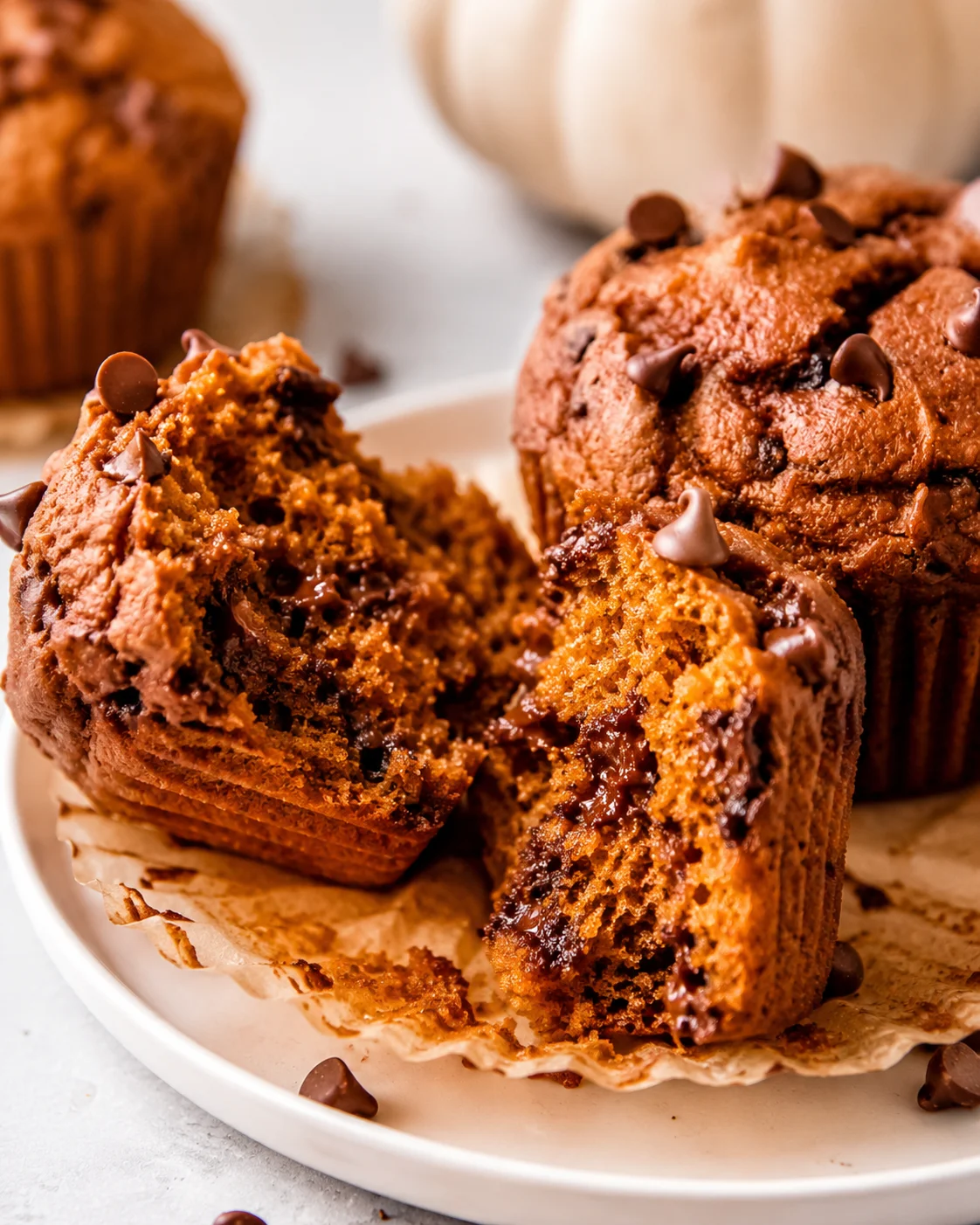 Plated pumpkin protein muffin torn open to show moist interior with melted chocolate chips