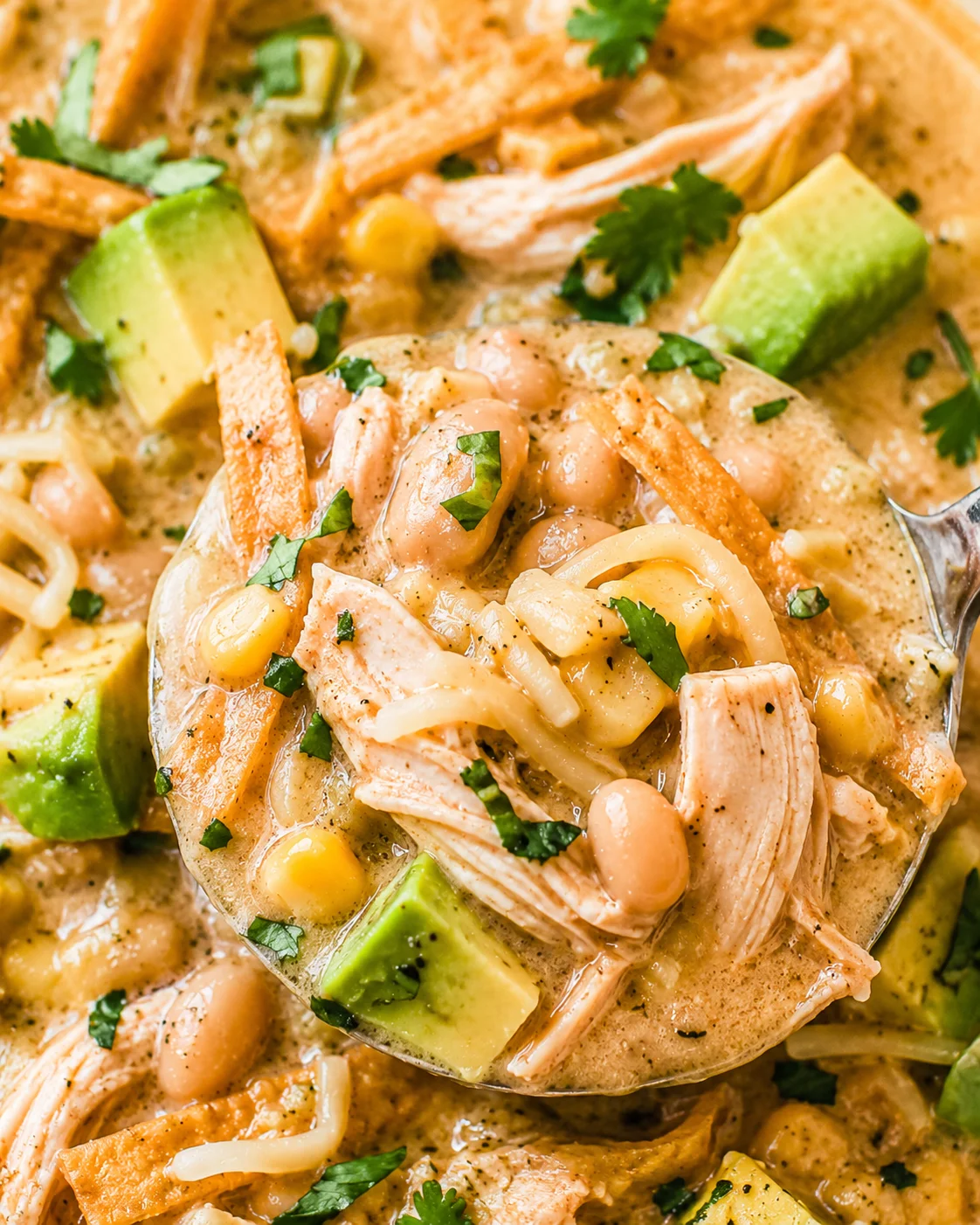 Close-up ladleful of white chicken chili showing texture, beans, chicken and avocado
